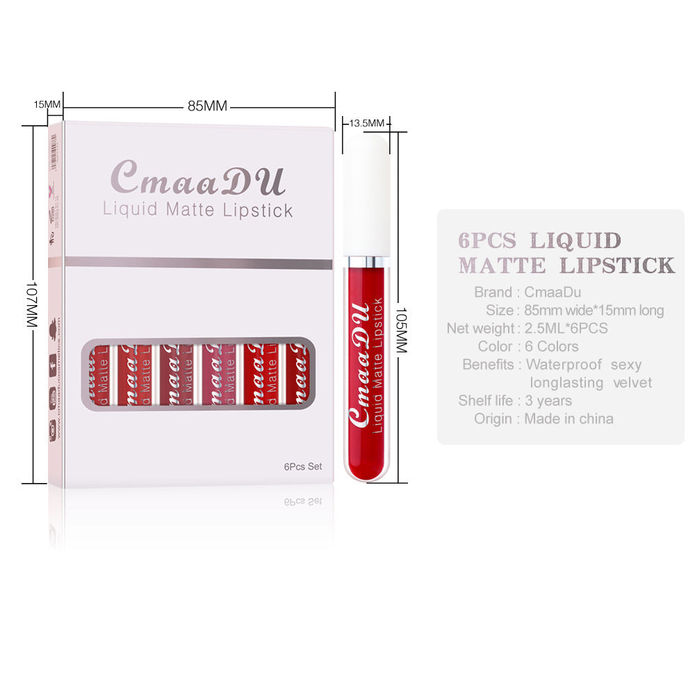 Women Long Lasting Lip Gloss