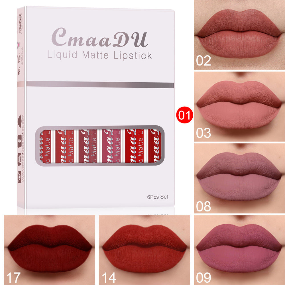 Women Long Lasting Lip Gloss